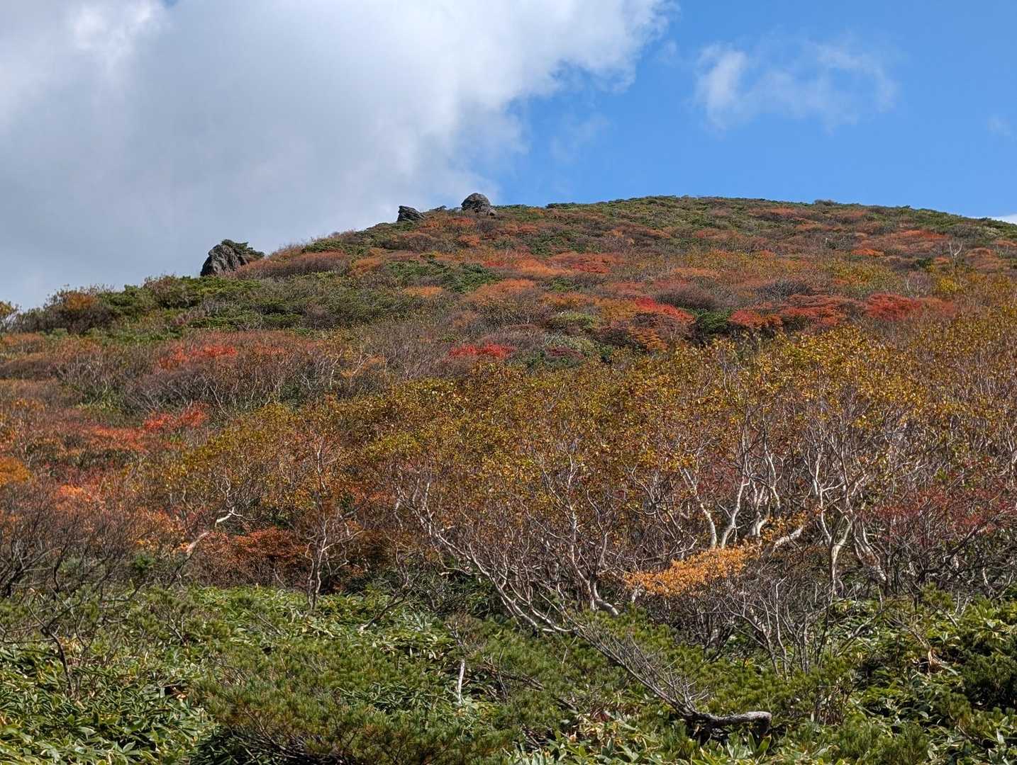 下山しスダレ山に向かいます
山肌の紅葉😃