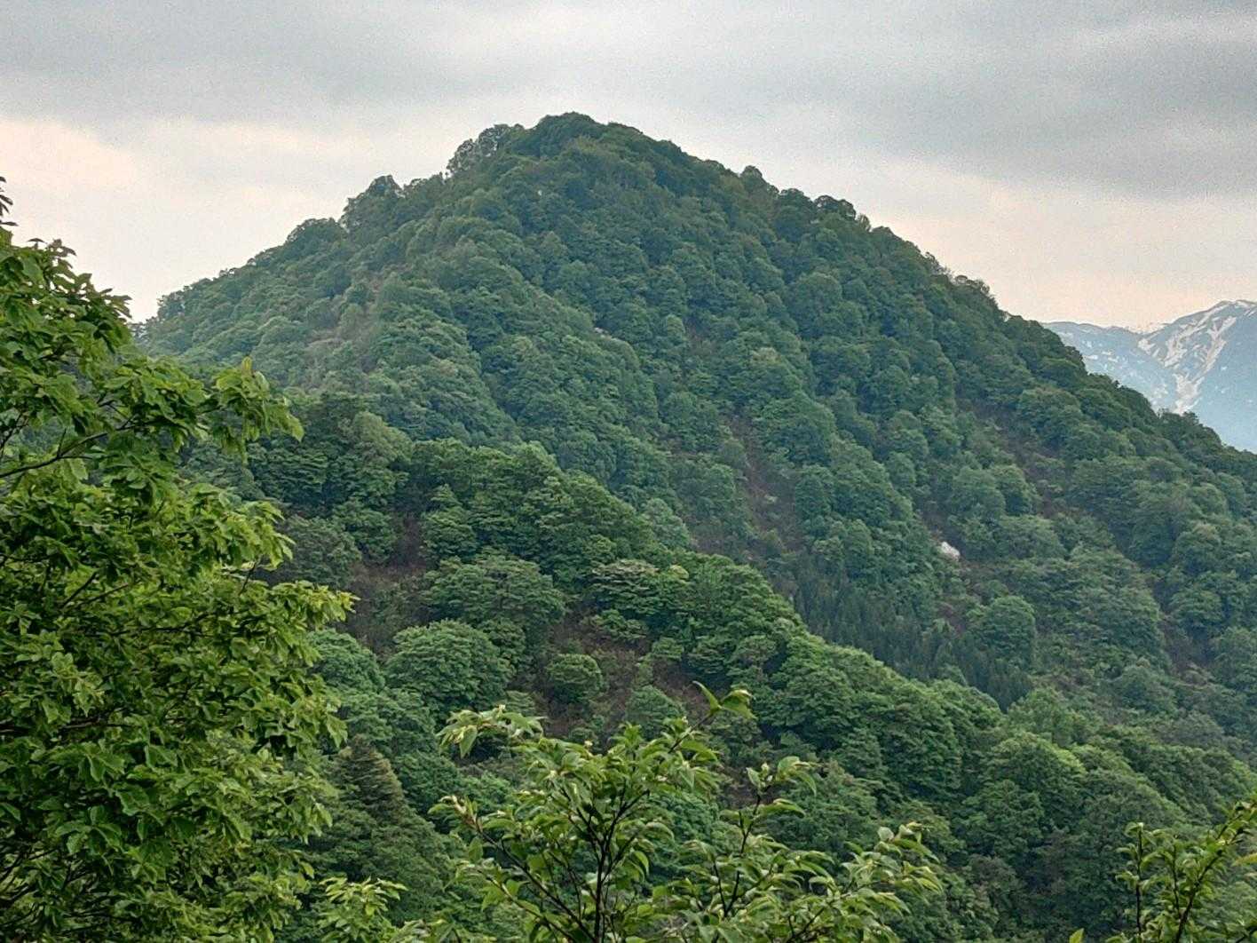 高坪山🙂
