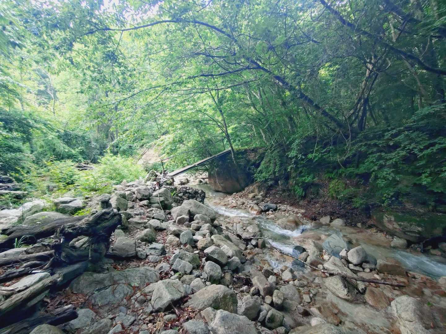 沢沿いの道を進みます