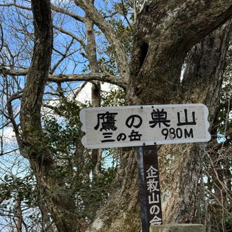 鷹の巣山（三ノ岳）登頂
本日最後の八座目
達成感がすごかった