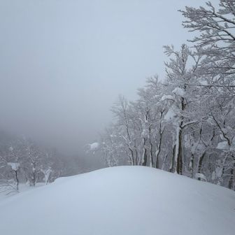 ここが風なかったのでここでランチタイム