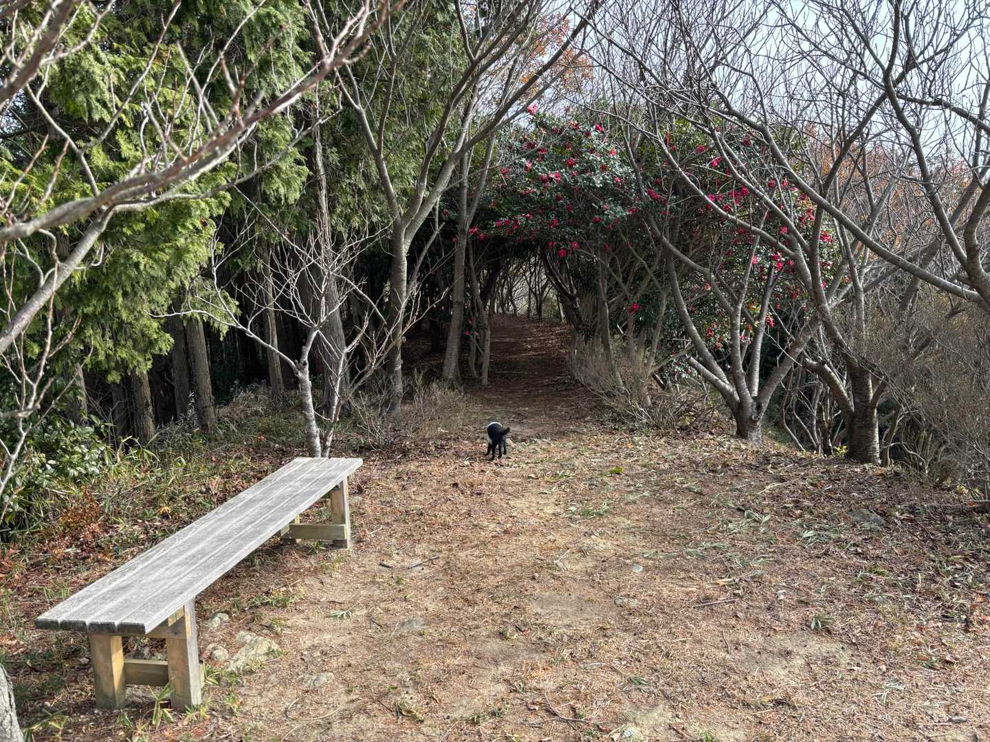 あっ！くーちゃん、待ちなさい！