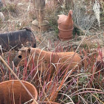 牛🐄
もう少し草が…