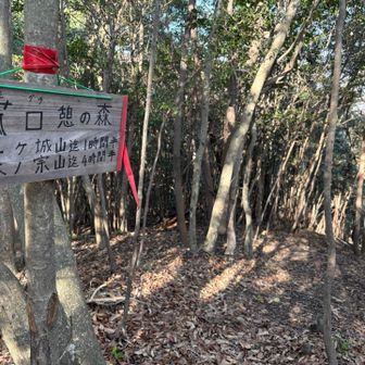 菰口へ降りちゃうよ🏃