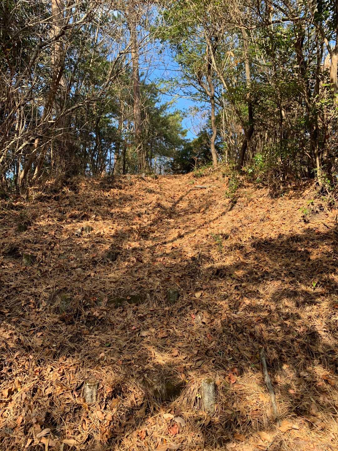 一気に登って