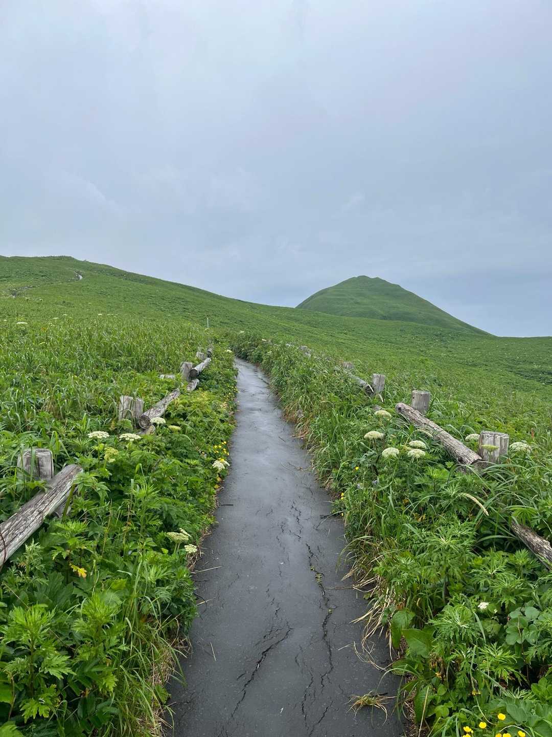舗装路