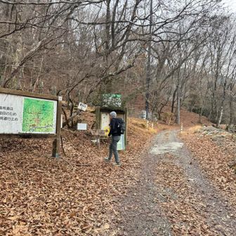 すぐ横、登山口