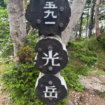 山頂の別な山名板