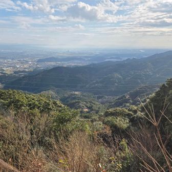 長め良し😄先ほどの陣地跡も見えます👀