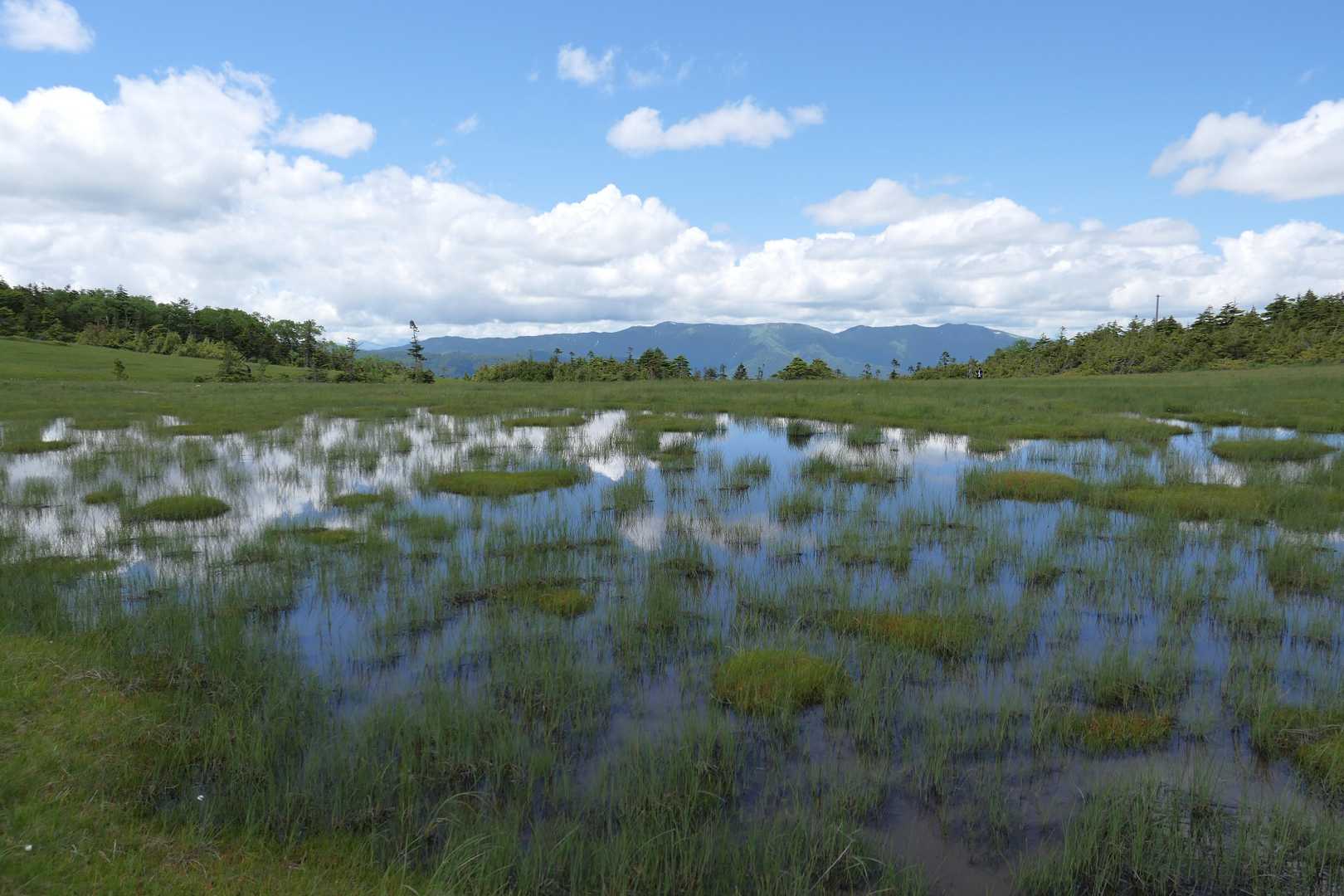 正面に見えているのは会津駒～三ツ岩～窓明
田代山に来たのはこの稜線を近くで見たかったのもある
