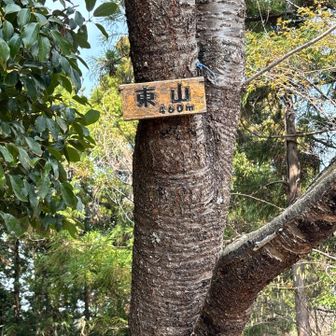 東山山頂