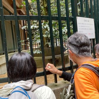 ともさんたちは中山寺に下山でちょび家とターキーさんは清荒神さんに初詣
ともさんグループと別行動になった途端、たのすけペースが⤴️‼️😅

清荒神は去年より人出少なかったような🤔
お預かりのお金を倍返しして、新たにまたお預かりしてきました
ここもお金少なかった感じ