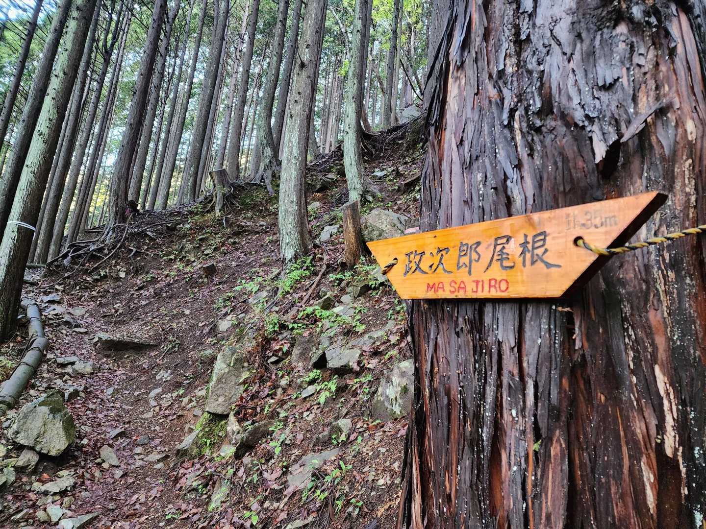 木ノ又大日-塔ノ岳 往復コースの写真
