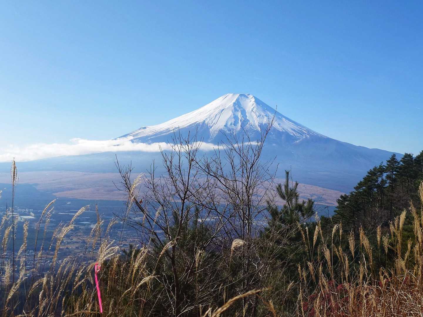 来年もどこかの山に富士山🗻見に来ます😊
名残惜しいですが、キリがないので下山です🥾