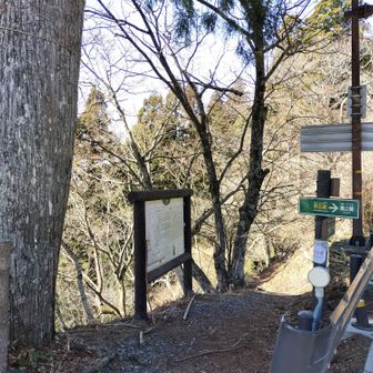 大門到着
十町石からラストの上りが道が狭くて斜面を這いながらになってしまいました。
ソロの良いところは恥ずかしい姿勢でも気にしなくても良いところですが・・・