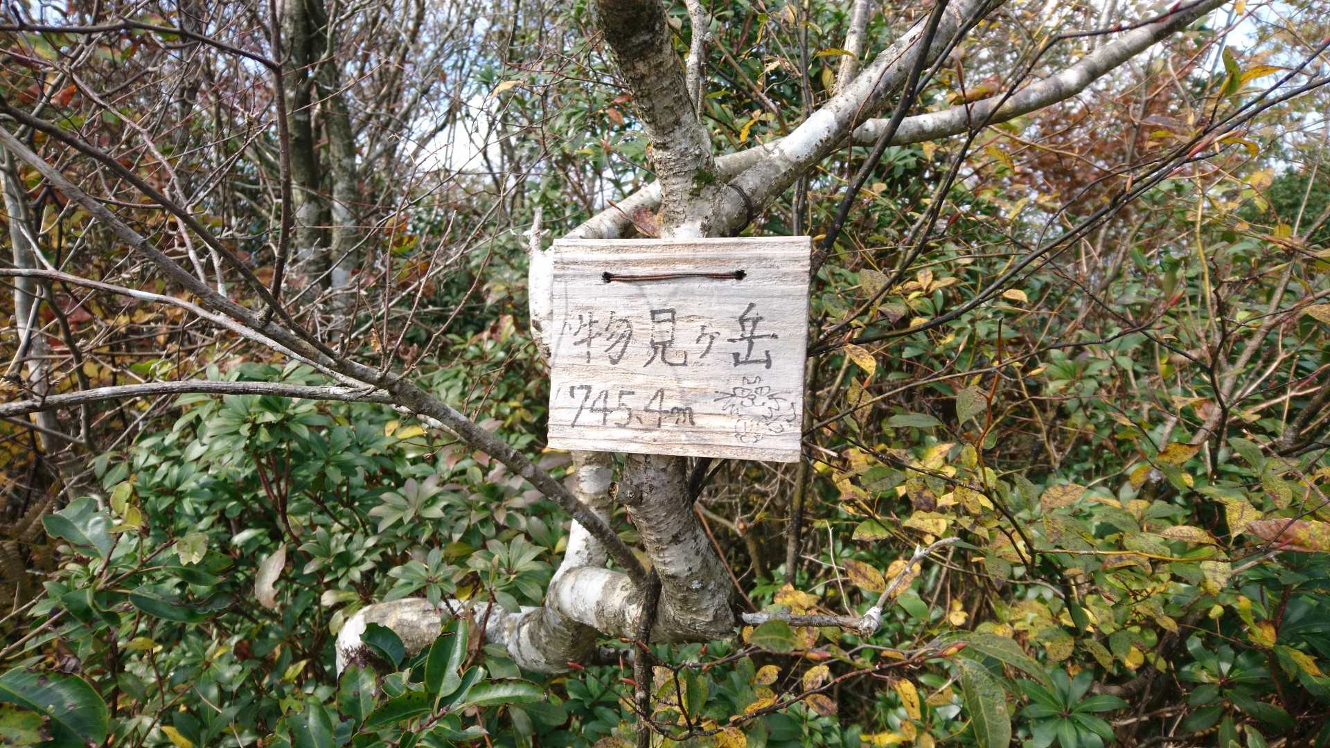 物見ヶ岳山頂❗