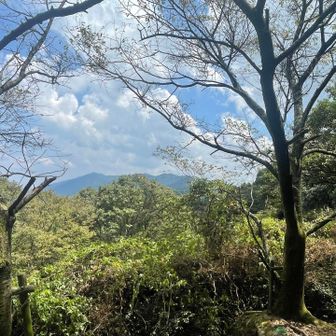 鷹取山はどれ？