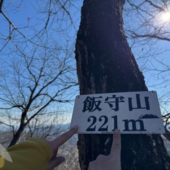 十二座目　飯守山👆👆