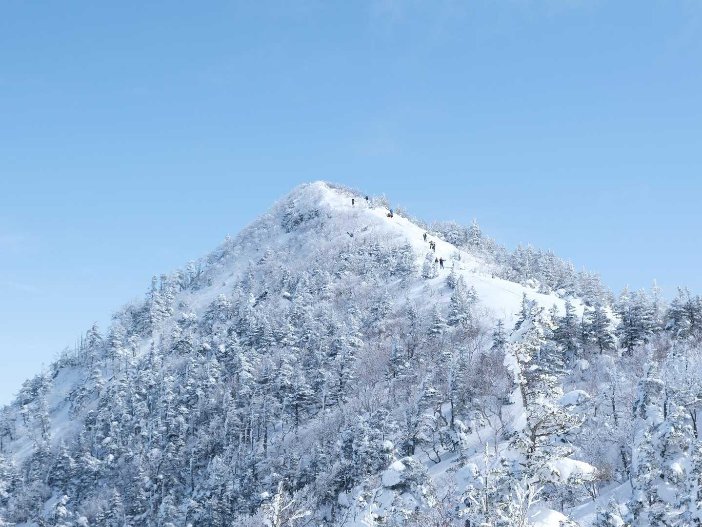 全然近づかない・・