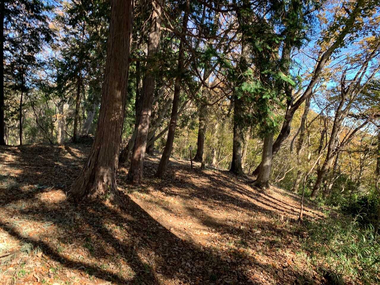 青木葉山の写真