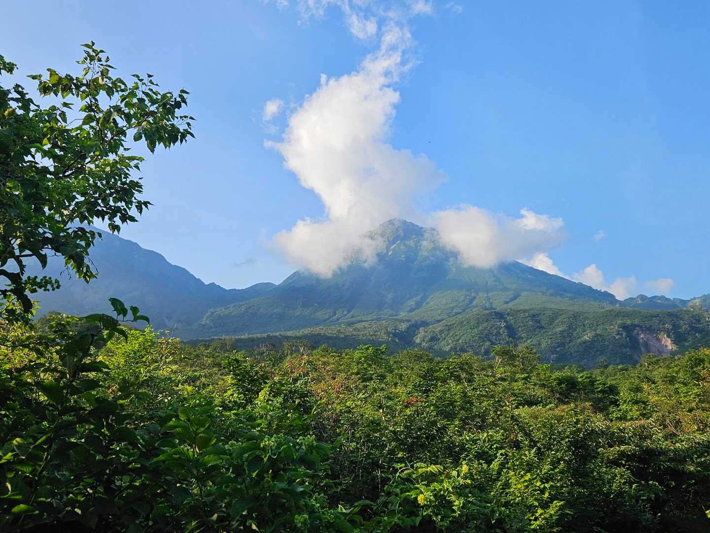 焼山（林道焼山線ゲート）の写真