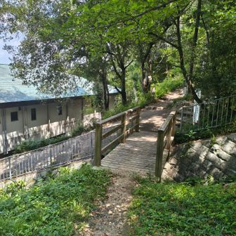 登山口の分岐箇所に合流して下山完了
砂地ややや危なめの斜面ありました。