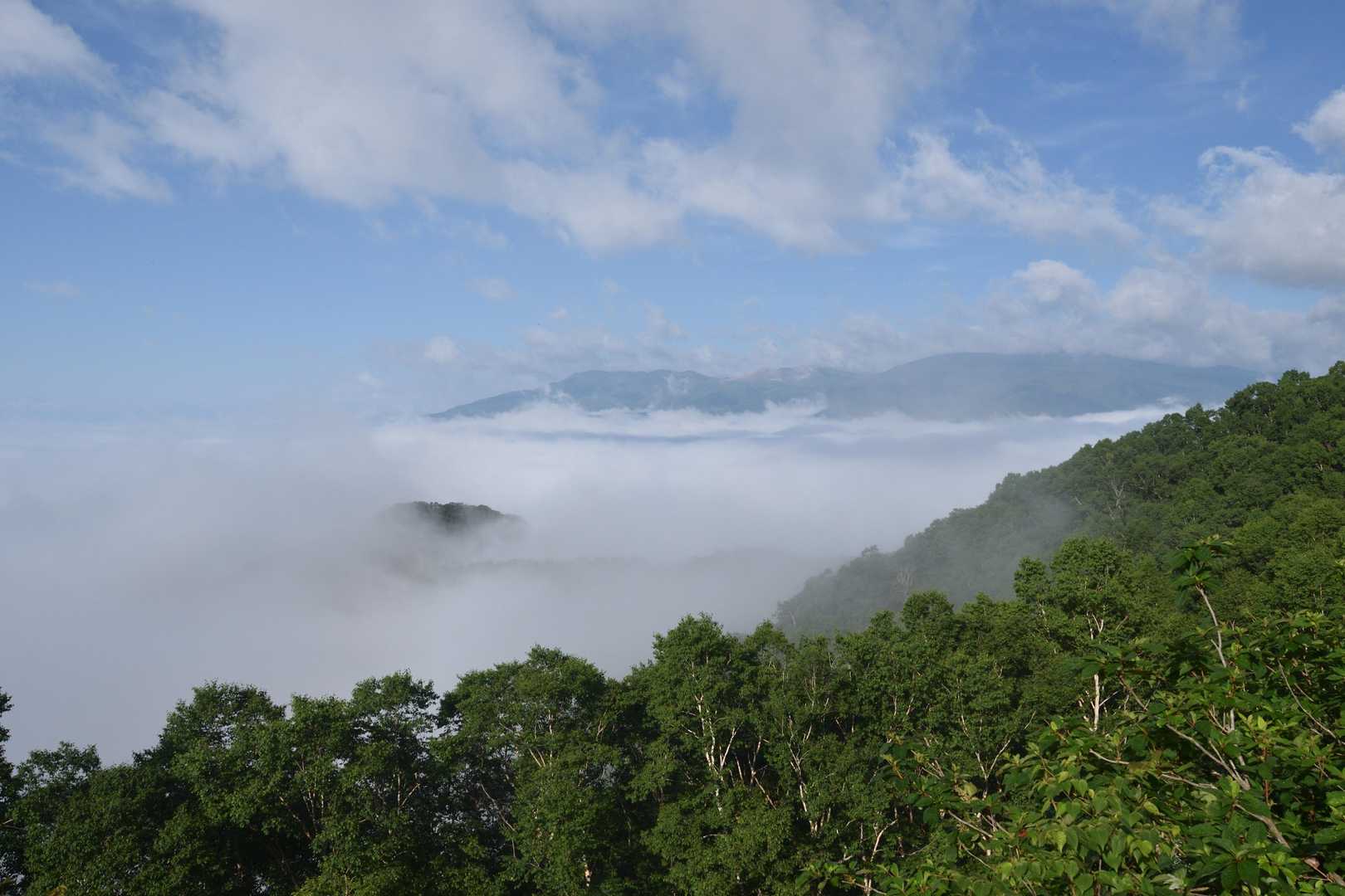 弁天山付近より
草津白根山
