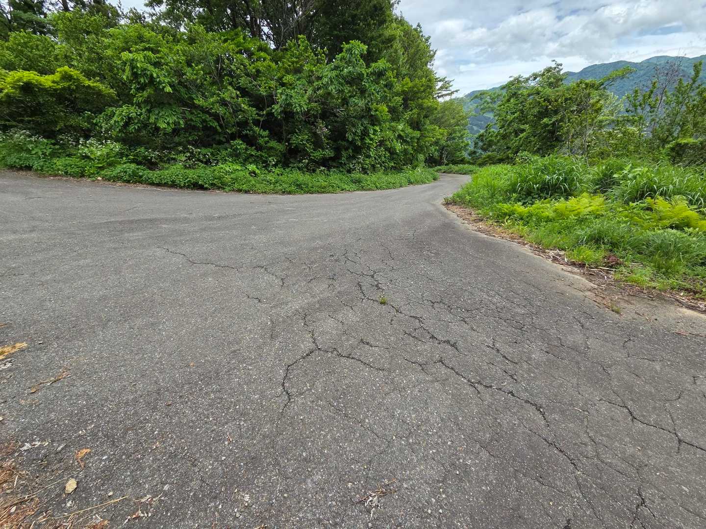 鋪装道に出て🚶‍♀️