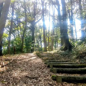 烏帽子形山へ
あるく♪はしる♪とまる🤣