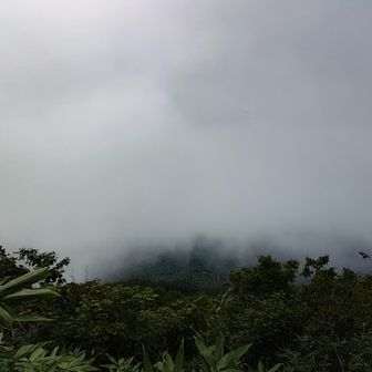 早速、雲の中に入る☁️