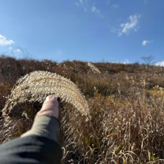 上部のフェンスを目指します