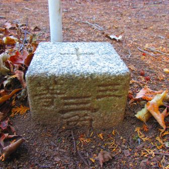 三等三角点
点名：堂屋敷
標高：553.21 m