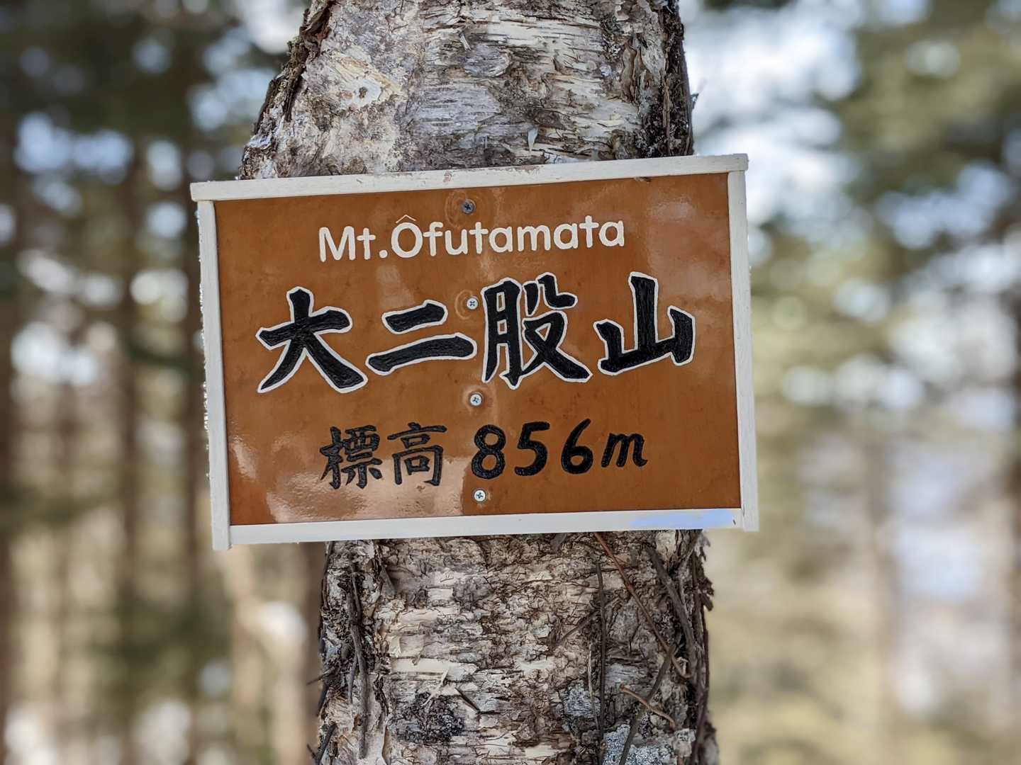「Atsushiさん、お久しぶり～」と声をかけられたと思ったら、mihoneiさんだった。
またしても奇跡のバタリ
こんなとこがあるんだね～
今日は、chrome氏にmihoneiさんとの再会も引き寄せられたのかもしれない。