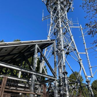 金丸山頂上。眺望無し