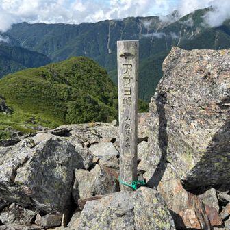 アサヨ峰も来れた！
これで山梨百名山・99座