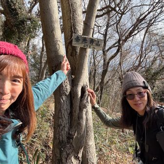 山頂沢山で　全部見つけなきゃですよ😄