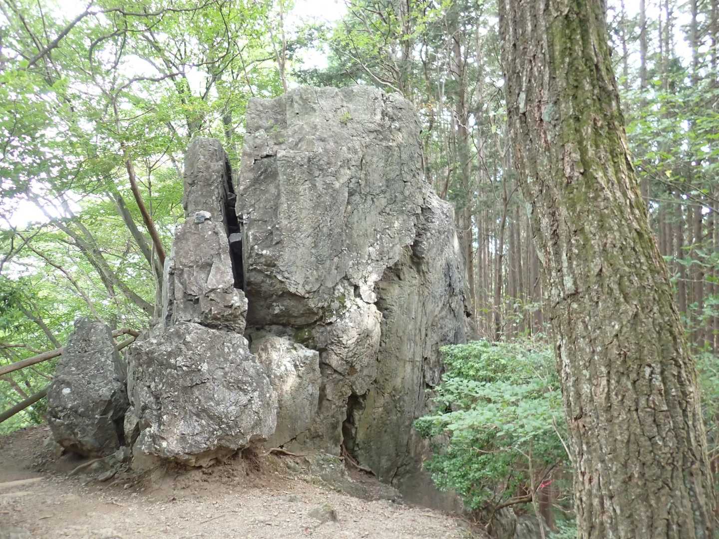 椎茸岩みたいな名前の岩