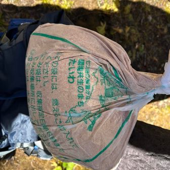 本日、ﾜﾀｸｼが荷揚げした乾燥オガクズ…
乾燥オガクズと引き換えに、一年間乾燥させた屎尿オガクズを受け取ります。

ちなみに、屎尿オガクズは、全然臭いません！
今日は、小分けした三袋を引き受けました😊