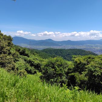 展望台からの風景