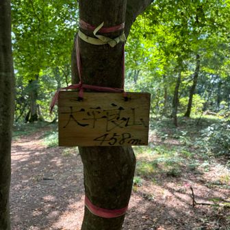 本日一番高い山の大平良山