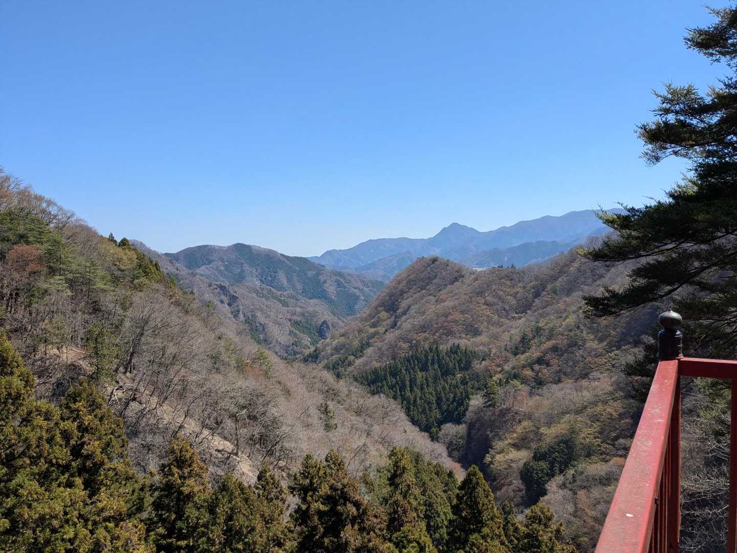 いい雰囲気です
しばらく眺めていたいけど時間が押してます😅
帰りに堪能しました👍