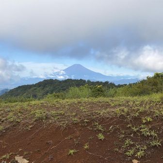富士山…