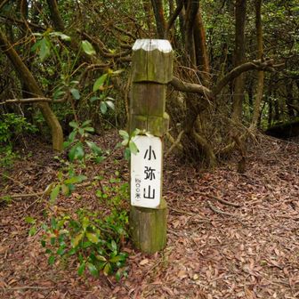 小弥山
眺望無し
