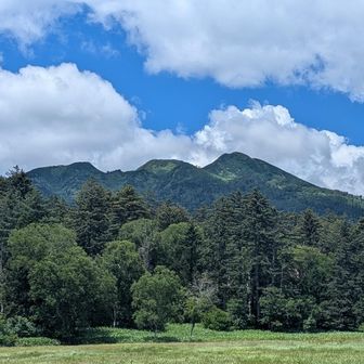 歩いた山
