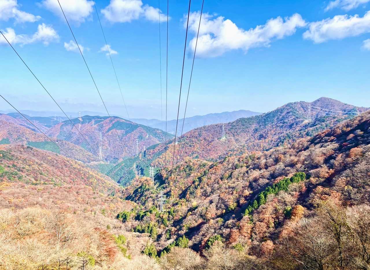 鞍掛トンネル東登山口-鞍掛峠-焼尾山-三国岳-ダイラの頭 周回コースの写真