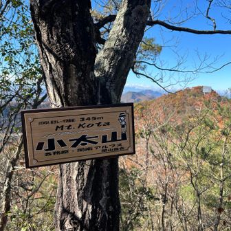 何故か、こぶとりやまと読んで、自分のお腹を見てしまう😅