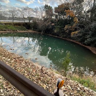 駐車場横にはエメラルドスグロリーンな池