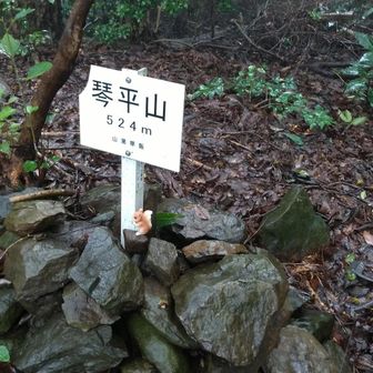 琴平山（ことひらやま）