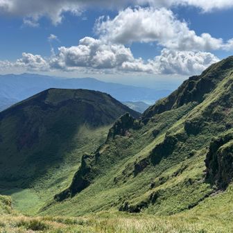 緑のグラデーションが綺麗だと思い撮った一枚