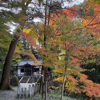 ここも紅葉がきれい